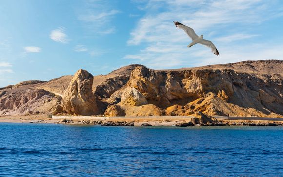 Im Angebot enthalten