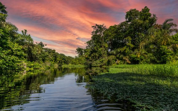 Zoom sur votre programme