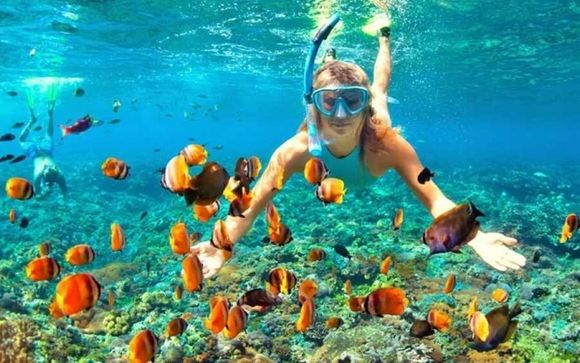 Im Angebot enthalten