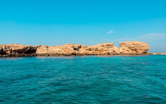 Im Angebot enthalten