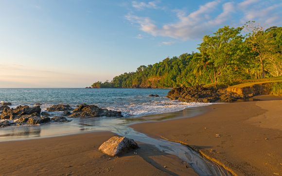 Ihre Reise im Detail