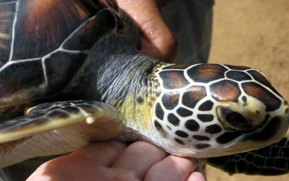 Ihre Rundreise im Detail