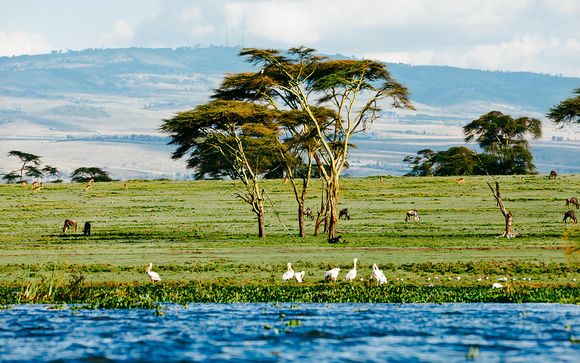 Willkommen in Kenia und auf den Seychellen