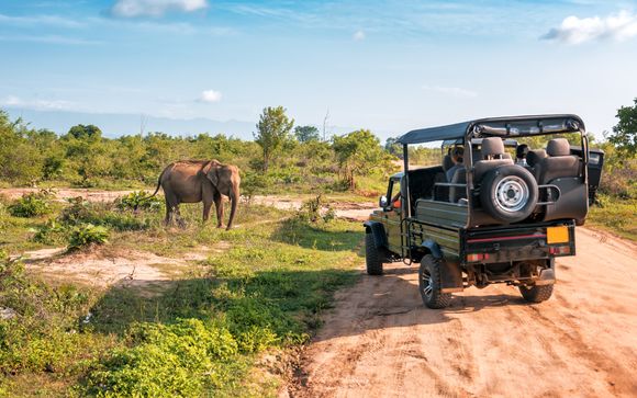 Ihre Ausflugsoptionen