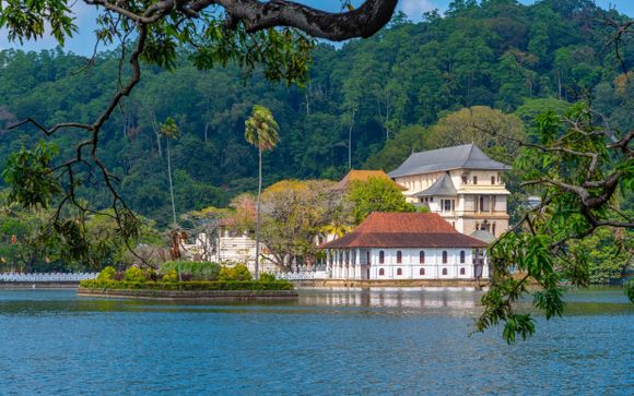 Zoom sur votre programme