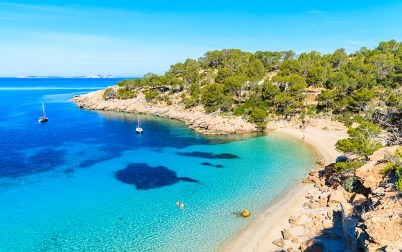 Im Angebot enthalten