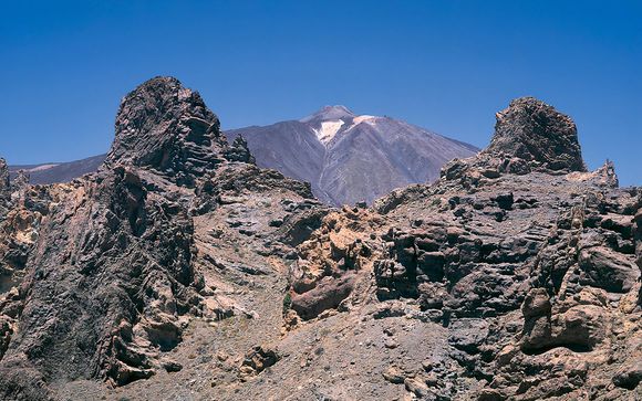 Im Angebot enthalten