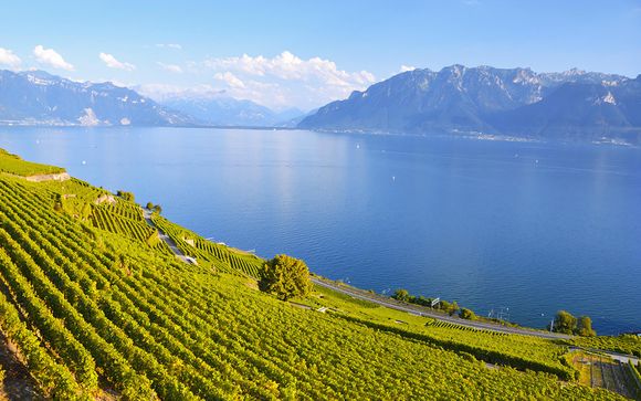 Pour aller plus loin 