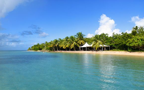 Pour aller plus loin 