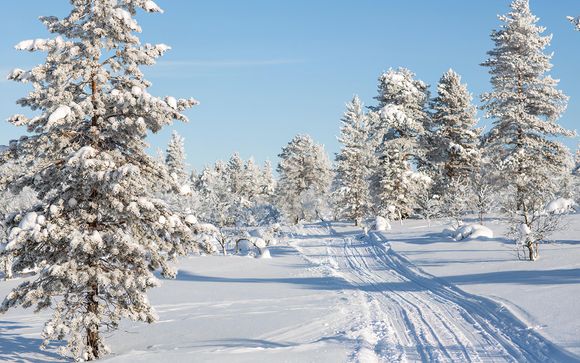 Pour aller plus loin 