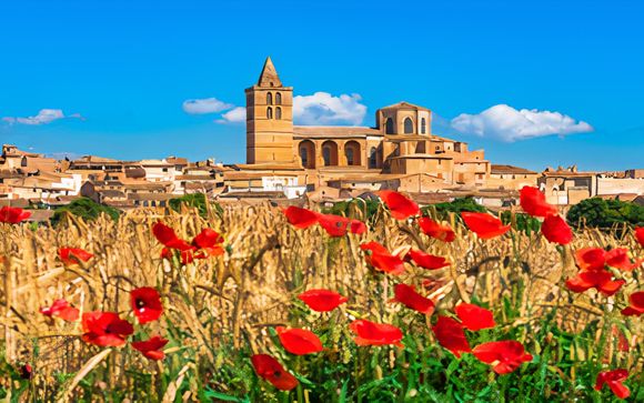 Ihre Ausflugsoptionen