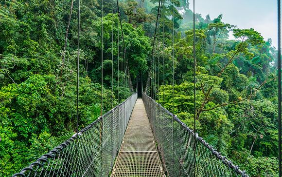 Rundreise durch Costa Rica in 8, 10 oder 12 Nächten - San Jose - Bis zu ...