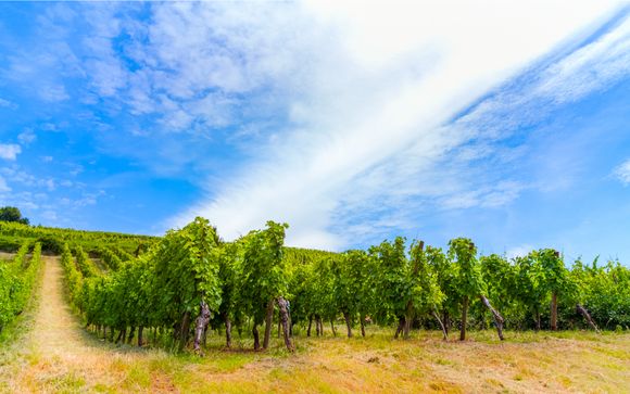 Willkommen in... Frankreich!