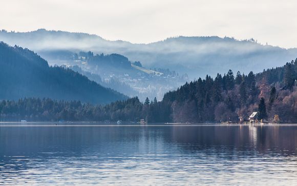 Willkommen im Schwarzwald