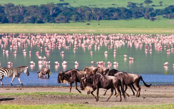Ihr Reiseverlauf im Detail