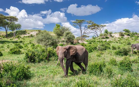 Ihr Reiseverlauf im Detail