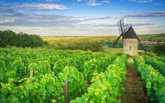 Ihre Kreuzfahrt im Detail