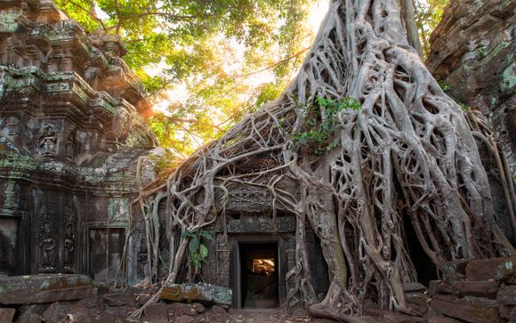 Ihre Rundreise im Detail