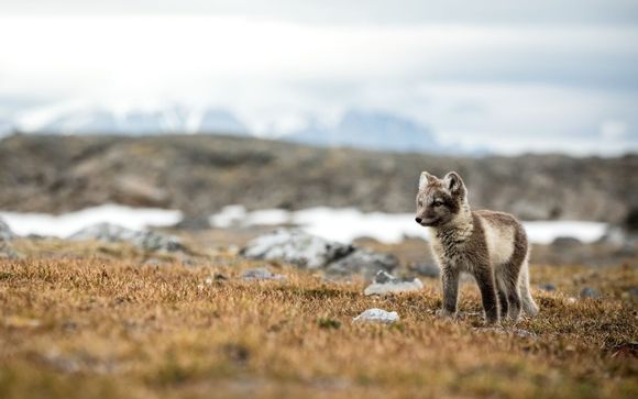 Ihre Kreuzfahrt im Überblick