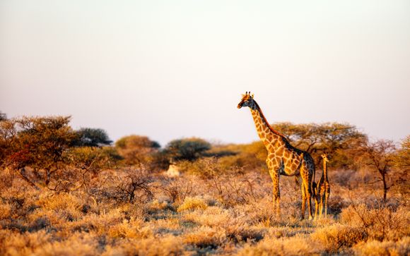 Ihre Rundreise im Detail