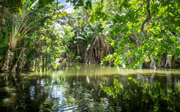 Circuit en 8 jours / 7 nuits