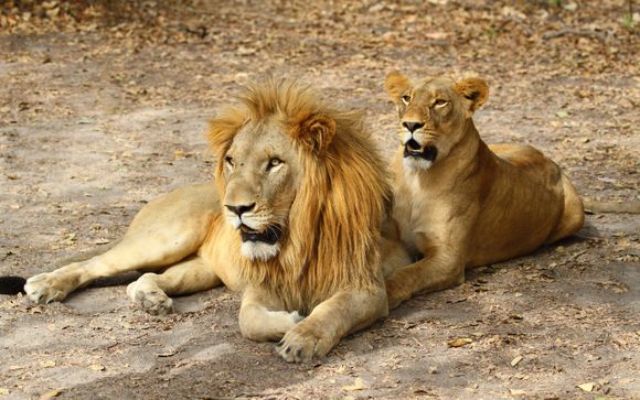 Für Ihren Komfort während der Rundreise