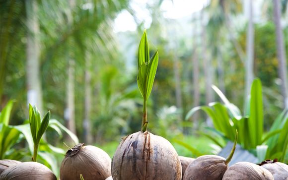 Ihre Ausflugsoptionen