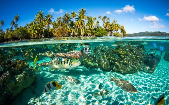 Die Inseln von Tahiti