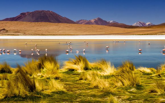 Ihre Ausflugsoptionen