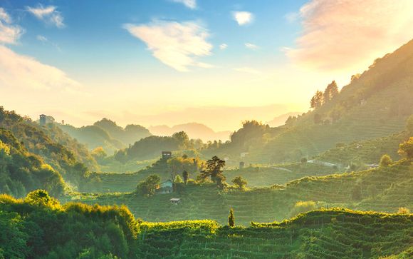 Willkommen in der Provinz Treviso