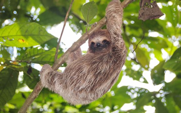Ihre Rundreise im Überblick