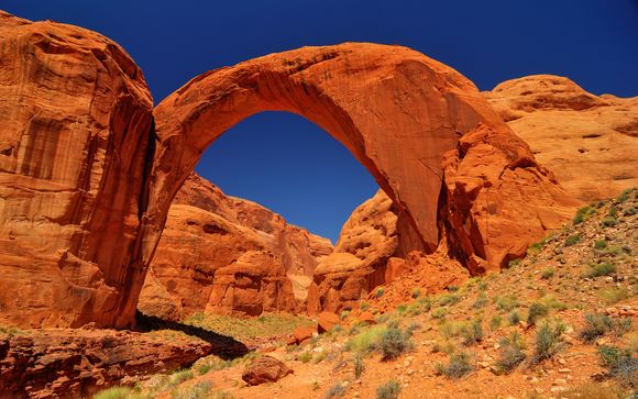 Ihre Reise im Detail