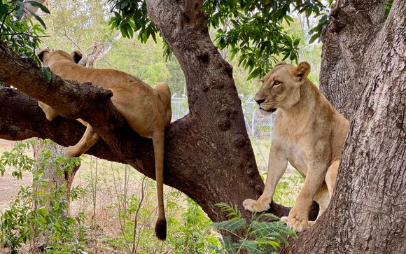 Ihre inklusiven Ausflüge