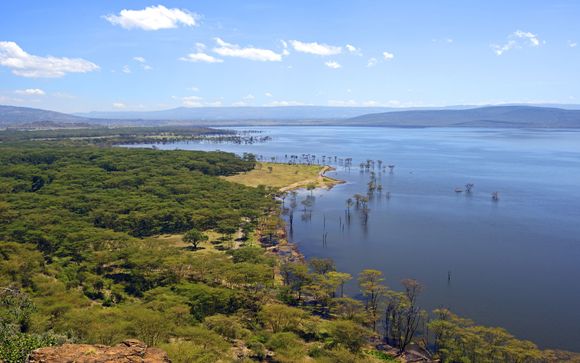 Ihre Safari im Detail