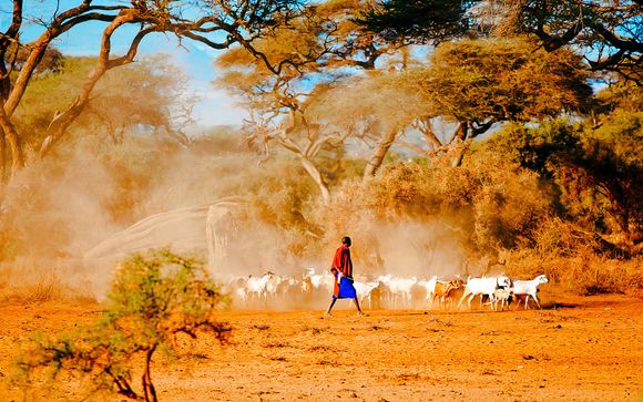 Ihre Safari im Detail