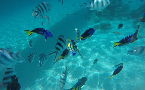 Ihre Ausflugsoptionen