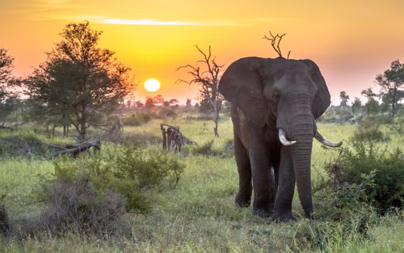 Ihre Safari im Überblick