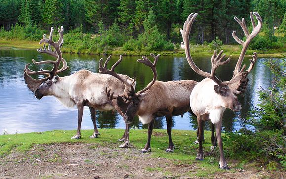 Ihre Rundreise im Detail