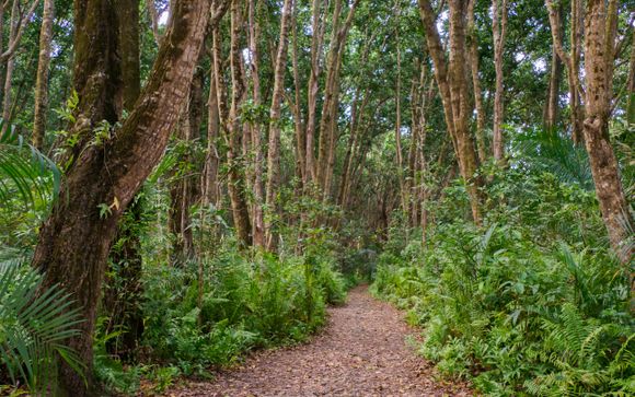 Ihre Ausflugsoptionen