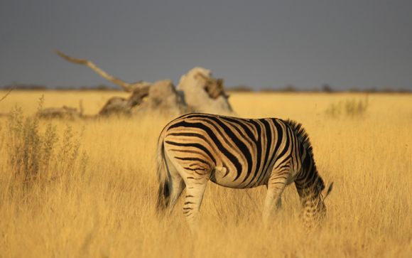 Zoom sur vos itinéraires suggérés