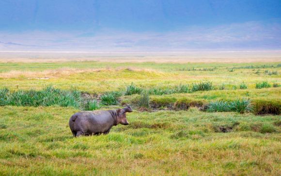 Willkommen in Tansania