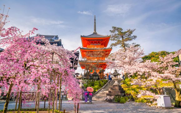 Ihre Ausflugsoptionen