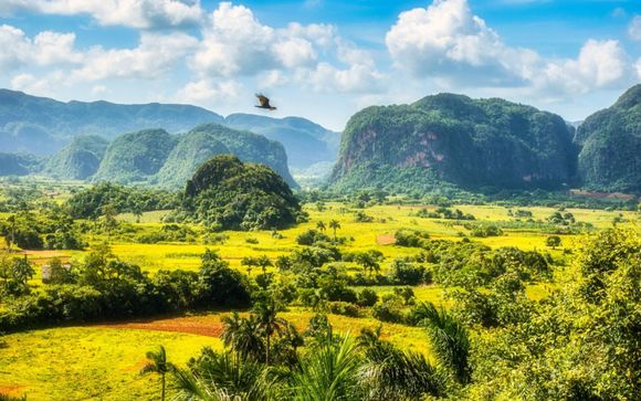 Ihre Ausflugsoptionen