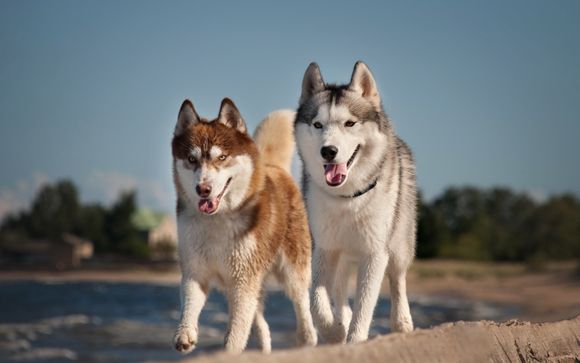 Ihre Ausflugsoptionen