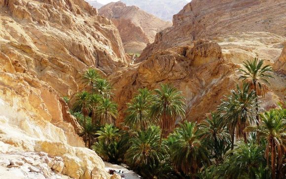 Ihre Rundreise im Detail