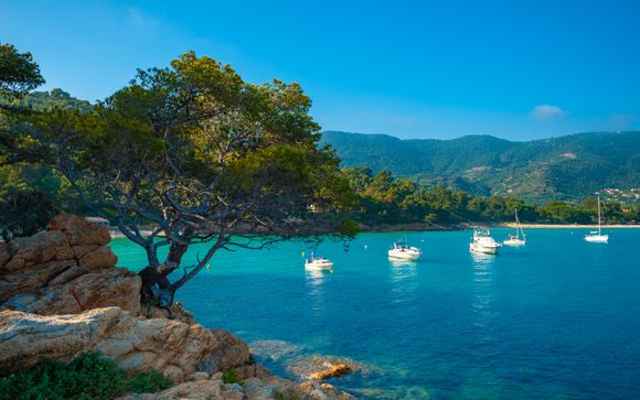 Ihre Kreuzfahrt im Detail