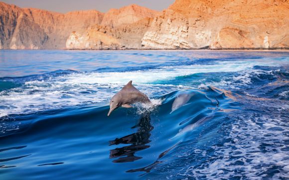 Ihre Rundreise im Detail