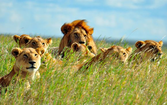 Willkommen in Tansania