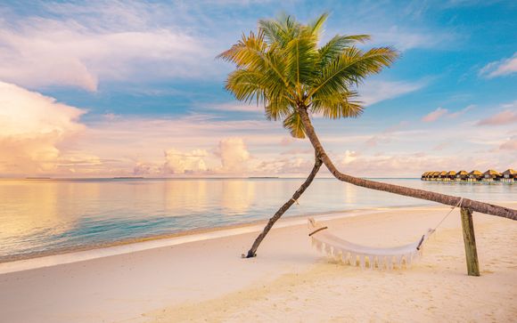 Willkommen in der Südsee