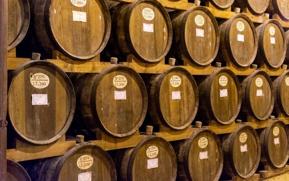 Ihre Ausflugsoptionen